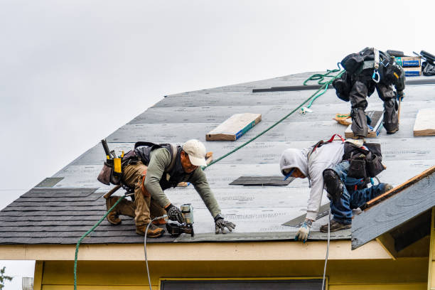 Professional Roofing technician working in Grandview, IA
